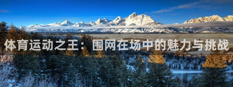 球王会体育：体育运动之王：围网在场中的魅力与挑战
