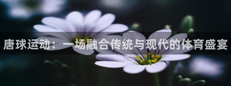 球王会体育：唐球运动：一场融合传统与现代的体育盛宴