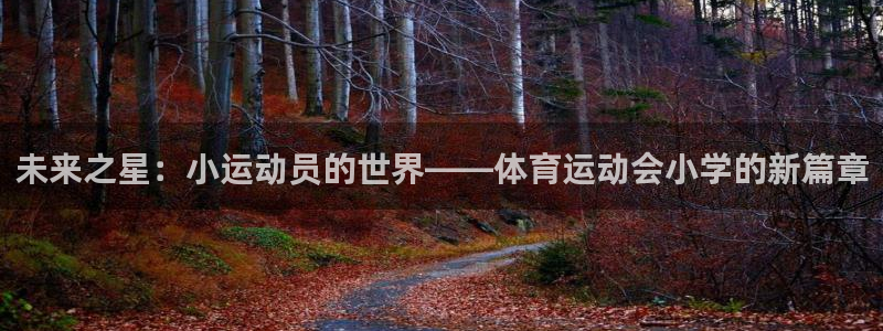 球王会体育：未来之星：小运动员的世界——体育运动会小学的新篇章