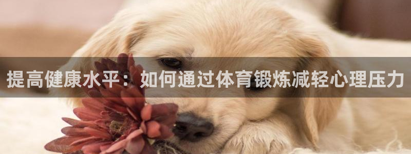 球王会体育：提高健康水平：如何通过体育锻炼减轻心理压力
