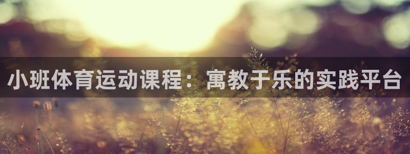 球王会体育：小班体育运动课程：寓教于乐的实践平台