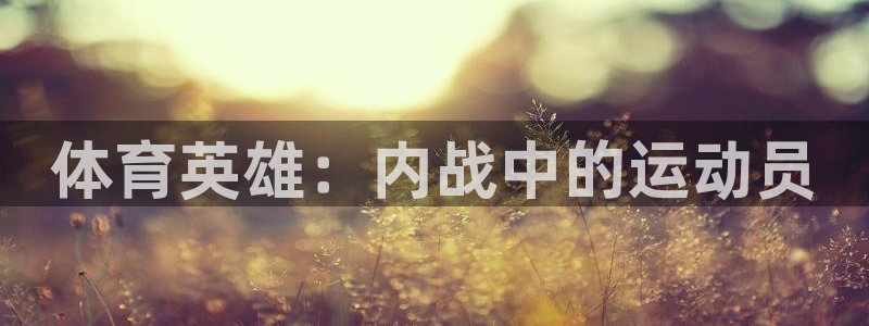 球王会体育：体育英雄：内战中的运动员