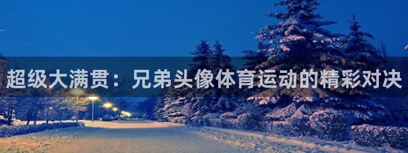 球王会体育：超级大满贯：兄弟头像体育运动的精彩对决