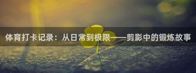 球王会体育：体育打卡记录：从日常到极限——剪影中的锻炼故事