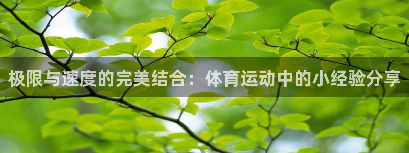 球王会体育：极限与速度的完美结合：体育运动中的小经验分享