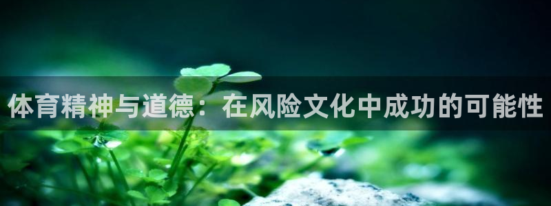 球王会体育：体育精神与道德：在风险文化中成功的可能性