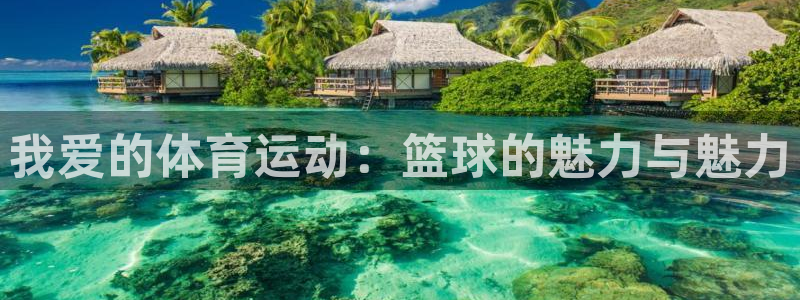 球王会体育：我爱的体育运动：篮球的魅力与魅力