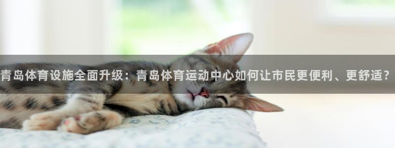 球王会体育：青岛体育设施全面升级：青岛体育运动中心如何让市民更便利、更舒适？