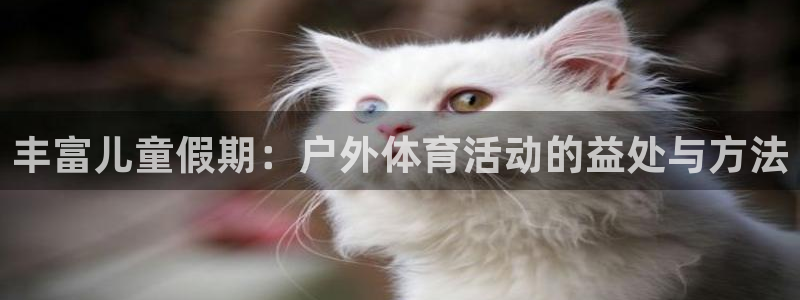 球王会体育：丰富儿童假期：户外体育活动的益处与方法