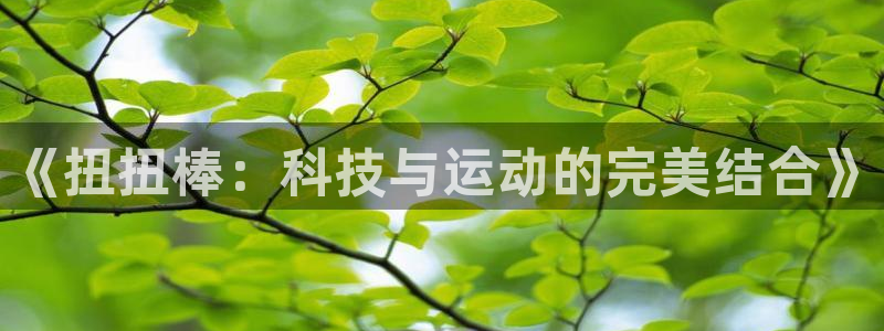 球王会体育：《扭扭棒：科技与运动的完美结合》