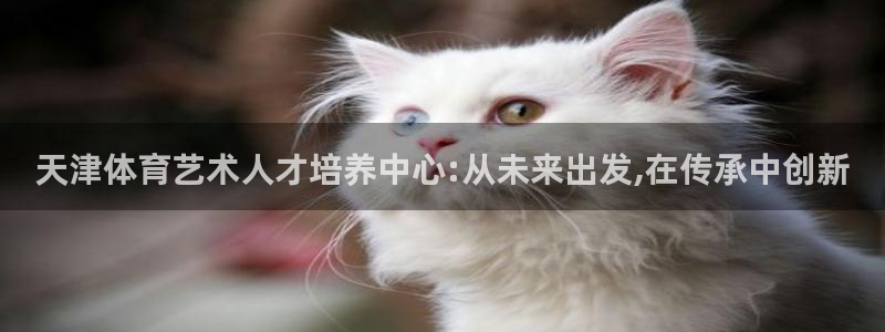 球王会体育：天津体育艺术人才培养中心:从未来出发,在传承中创新